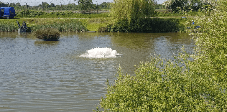 Lakeside fishery deals